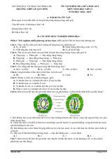 Đề cương ôn tập Giữa kì 1 Sinh học 11 năm 2024–2025 trường THPT Lê Quý Đôn (Đắk Lắk)